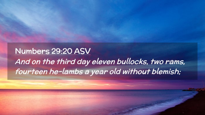 Picture 02 - Numbers 29:20 ASV Desktop Wallpaper - And on the third day eleven bullocks, two rams, - Desktop Bible Verse Wallpaper
