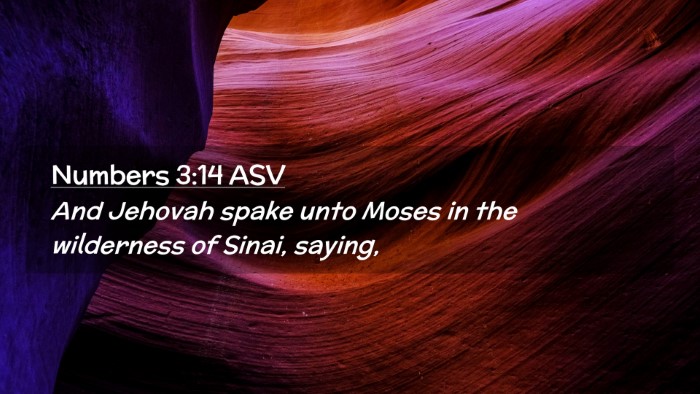 Picture 02 - Numbers 3:14 ASV Desktop Wallpaper - And Jehovah spake unto Moses in the wilderness of - Desktop Bible Verse Wallpaper