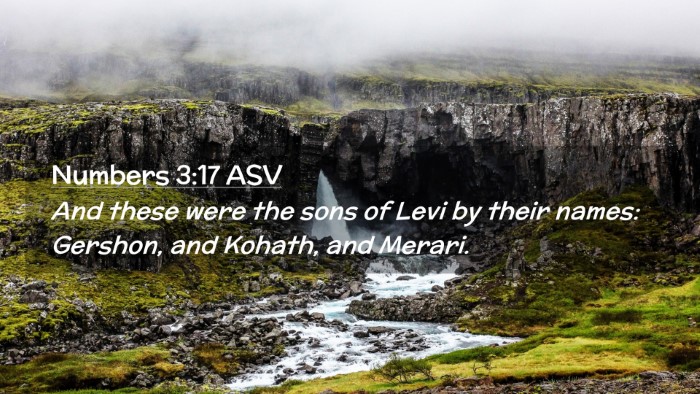 Picture 02 - Numbers 3:17 ASV Desktop Wallpaper - And these were the sons of Levi by their names: - Desktop Bible Verse Wallpaper