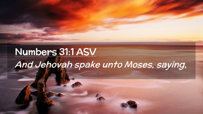 Picture 02 - Numbers 31:1 ASV Desktop Wallpaper - And Jehovah spake unto Moses, - Desktop Bible Verse Wallpaper