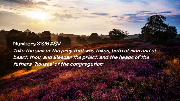 Picture 02 - Numbers 31:26 ASV Desktop Wallpaper - Take the sum of the prey that was taken, both of - Desktop Bible Verse Wallpaper