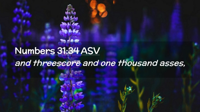 Picture 02 - Numbers 31:34 ASV Desktop Wallpaper - and threescore and one thousand - Desktop Bible Verse Wallpaper