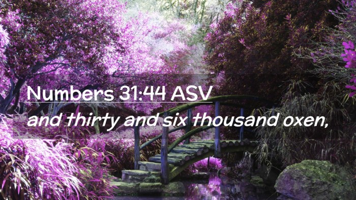 Picture 02 - Numbers 31:44 ASV Desktop Wallpaper - and thirty and six thousand - Desktop Bible Verse Wallpaper