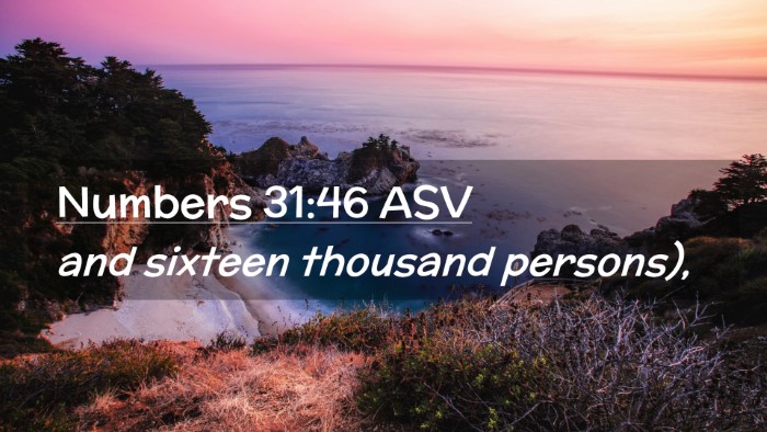 Picture 02 - Numbers 31:46 ASV Desktop Wallpaper - and sixteen thousand - Desktop Bible Verse Wallpaper