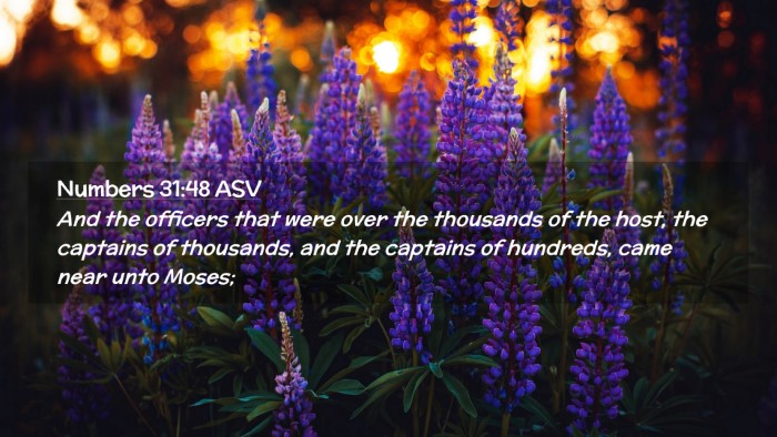 Picture 02 - Numbers 31:48 ASV Desktop Wallpaper - And the officers that were over the thousands of - Desktop Bible Verse Wallpaper