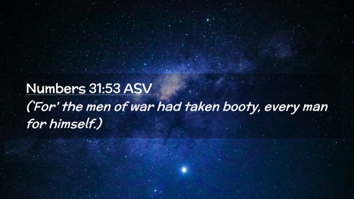 Picture 02 - Numbers 31:53 ASV Desktop Wallpaper - (`For' the men of war had taken booty, every man - Desktop Bible Verse Wallpaper