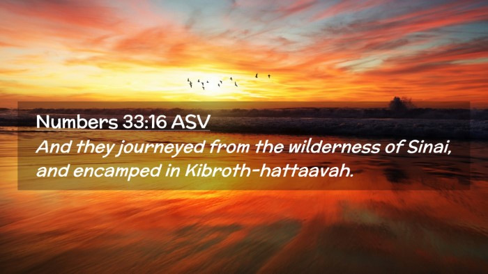 Picture 02 - Numbers 33:16 ASV Desktop Wallpaper - And they journeyed from the wilderness of Sinai, - Desktop Bible Verse Wallpaper