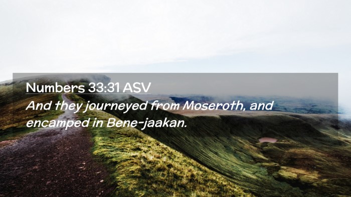 Picture 02 - Numbers 33:31 ASV Desktop Wallpaper - And they journeyed from Moseroth, and encamped in - Desktop Bible Verse Wallpaper