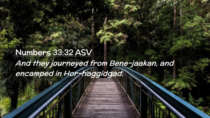Picture 02 - Numbers 33:32 ASV Desktop Wallpaper - And they journeyed from Bene-jaakan, and encamped - Desktop Bible Verse Wallpaper