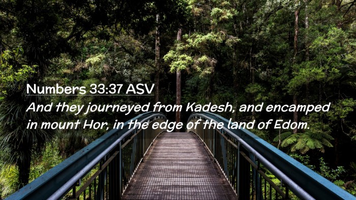 Picture 02 - Numbers 33:37 ASV Desktop Wallpaper - And they journeyed from Kadesh, and encamped in - Desktop Bible Verse Wallpaper