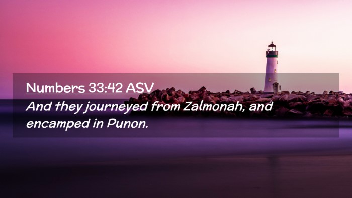 Picture 02 - Numbers 33:42 ASV Desktop Wallpaper - And they journeyed from Zalmonah, and encamped in - Desktop Bible Verse Wallpaper