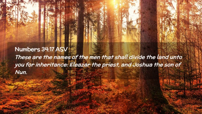 Picture 02 - Numbers 34:17 ASV Desktop Wallpaper - These are the names of the men that shall divide - Desktop Bible Verse Wallpaper