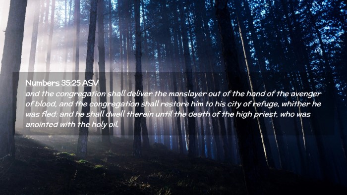 Picture 02 - Numbers 35:25 ASV Desktop Wallpaper - and the congregation shall deliver the manslayer - Desktop Bible Verse Wallpaper