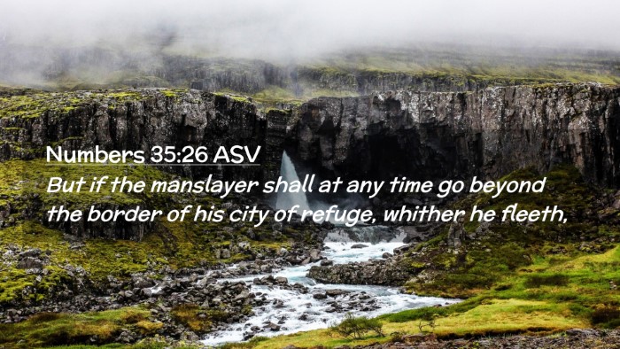 Picture 02 - Numbers 35:26 ASV Desktop Wallpaper - But if the manslayer shall at any time go beyond - Desktop Bible Verse Wallpaper