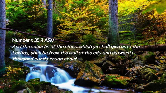Picture 02 - Numbers 35:4 ASV Desktop Wallpaper - And the suburbs of the cities, which ye shall - Desktop Bible Verse Wallpaper