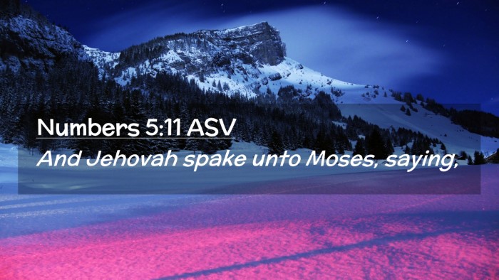 Picture 02 - Numbers 5:11 ASV Desktop Wallpaper - And Jehovah spake unto Moses, - Desktop Bible Verse Wallpaper