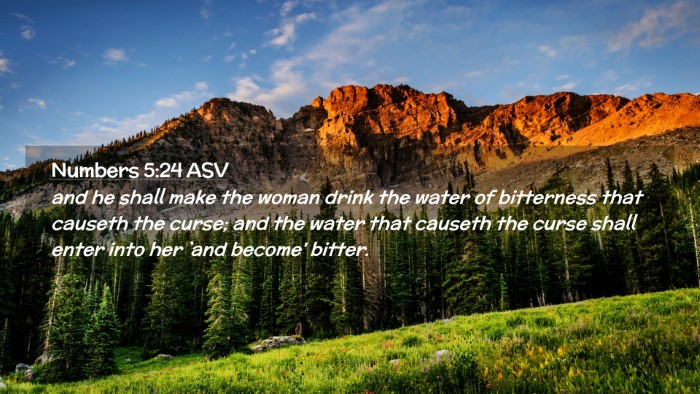 Picture 02 - Numbers 5:24 ASV Desktop Wallpaper - and he shall make the woman drink the water of - Desktop Bible Verse Wallpaper