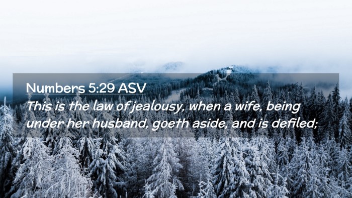 Picture 02 - Numbers 5:29 ASV Desktop Wallpaper - This is the law of jealousy, when a wife, being - Desktop Bible Verse Wallpaper
