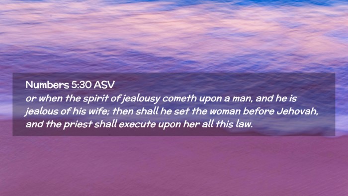 Picture 02 - Numbers 5:30 ASV Desktop Wallpaper - or when the spirit of jealousy cometh upon a man, - Desktop Bible Verse Wallpaper