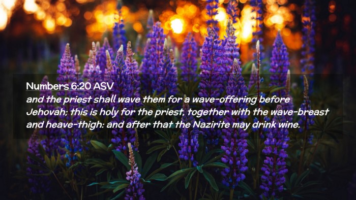 Picture 02 - Numbers 6:20 ASV Desktop Wallpaper - and the priest shall wave them for a - Desktop Bible Verse Wallpaper
