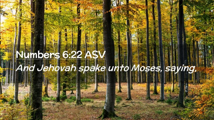 Picture 02 - Numbers 6:22 ASV Desktop Wallpaper - And Jehovah spake unto Moses, - Desktop Bible Verse Wallpaper