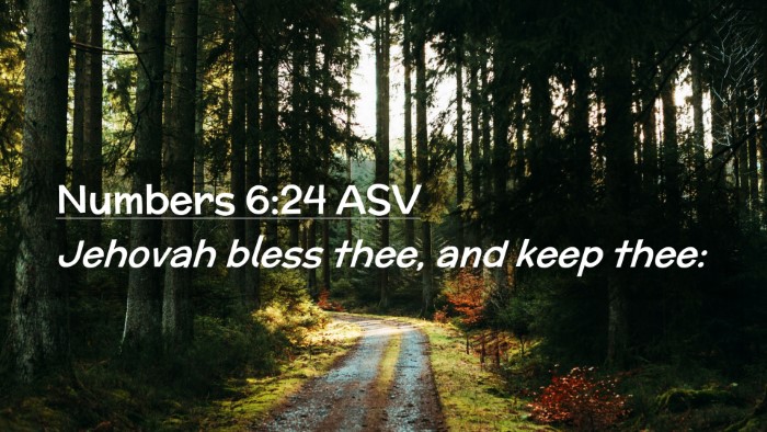 Picture 02 - Numbers 6:24 ASV Desktop Wallpaper - Jehovah bless thee, and keep - Desktop Bible Verse Wallpaper
