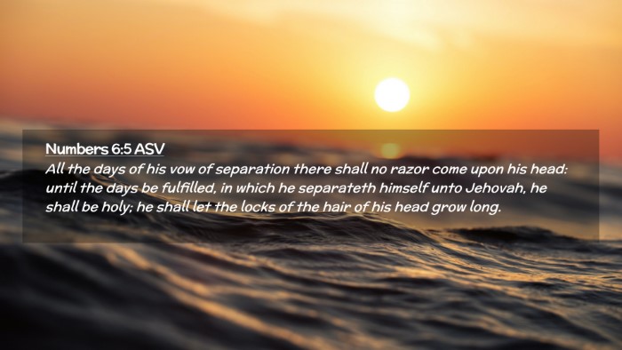 Picture 02 - Numbers 6:5 ASV Desktop Wallpaper - All the days of his vow of separation there shall - Desktop Bible Verse Wallpaper