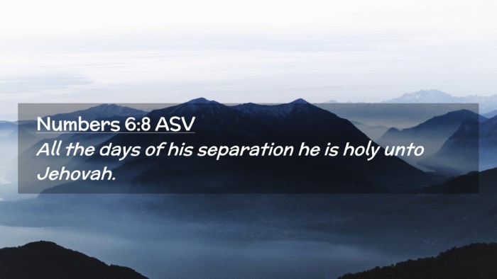 Picture 02 - Numbers 6:8 ASV Desktop Wallpaper - All the days of his separation he is holy unto - Desktop Bible Verse Wallpaper