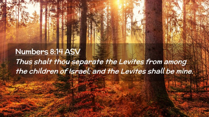 Picture 02 - Numbers 8:14 ASV Desktop Wallpaper - Thus shalt thou separate the Levites from among - Desktop Bible Verse Wallpaper