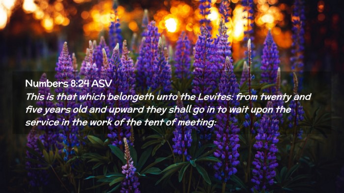 Picture 02 - Numbers 8:24 ASV Desktop Wallpaper - This is that which belongeth unto the Levites: - Desktop Bible Verse Wallpaper