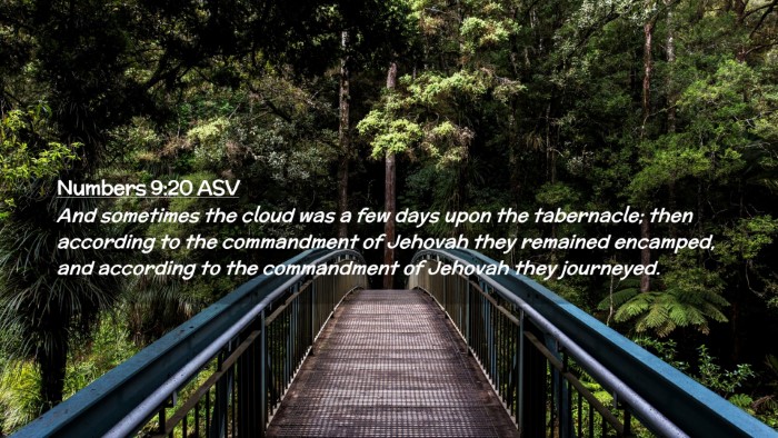 Picture 02 - Numbers 9:20 ASV Desktop Wallpaper - And sometimes the cloud was a few days upon the - Desktop Bible Verse Wallpaper