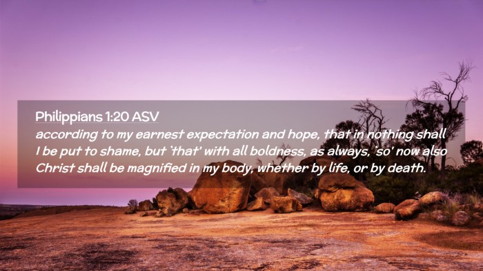 Picture 02 - Philippians 1:20 ASV Desktop Wallpaper - according to my earnest expectation and hope, - Desktop Bible Verse Wallpaper