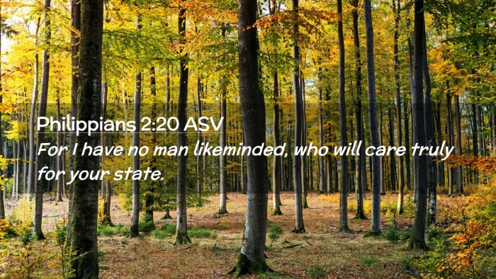 Picture 02 - Philippians 2:20 ASV Desktop Wallpaper - For I have no man likeminded, who will care truly - Desktop Bible Verse Wallpaper