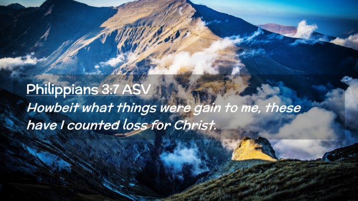 Picture 02 - Philippians 3:7 ASV Desktop Wallpaper - Howbeit what things were gain to me, these have I - Desktop Bible Verse Wallpaper