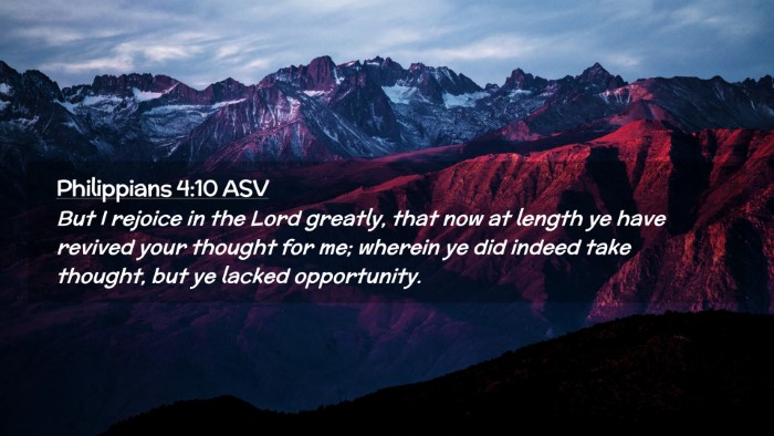Picture 02 - Philippians 4:10 ASV Desktop Wallpaper - But I rejoice in the Lord greatly, that now at - Desktop Bible Verse Wallpaper
