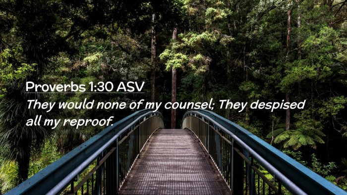 Picture 02 - Proverbs 1:30 ASV Desktop Wallpaper - They would none of my counsel; They despised all - Desktop Bible Verse Wallpaper