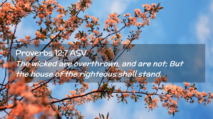 Picture 02 - Proverbs 12:7 ASV Desktop Wallpaper - The wicked are overthrown, and are not; But the - Desktop Bible Verse Wallpaper
