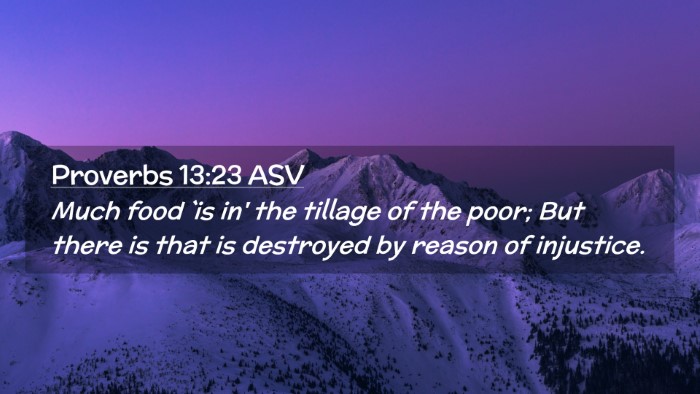 Picture 02 - Proverbs 13:23 ASV Desktop Wallpaper - Much food `is in' the tillage of the poor; But - Desktop Bible Verse Wallpaper