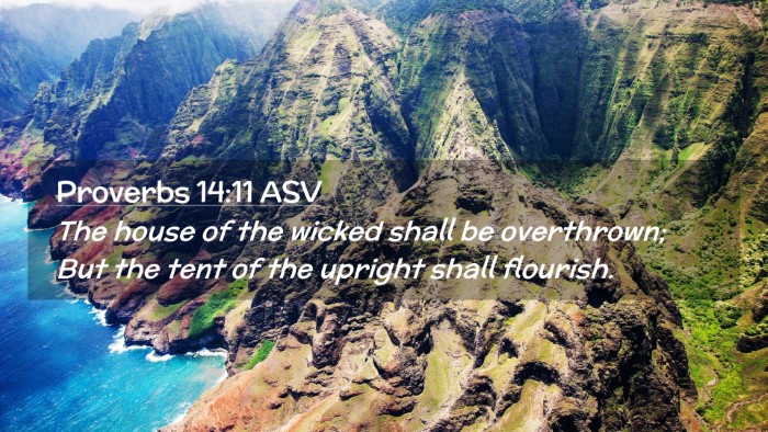 Picture 02 - Proverbs 14:11 ASV Desktop Wallpaper - The house of the wicked shall be overthrown; But - Desktop Bible Verse Wallpaper