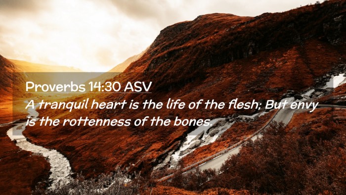 Picture 02 - Proverbs 14:30 ASV Desktop Wallpaper - A tranquil heart is the life of the flesh; But - Desktop Bible Verse Wallpaper