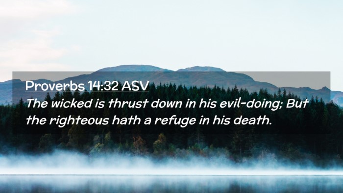 Picture 02 - Proverbs 14:32 ASV Desktop Wallpaper - The wicked is thrust down in his evil-doing; But - Desktop Bible Verse Wallpaper