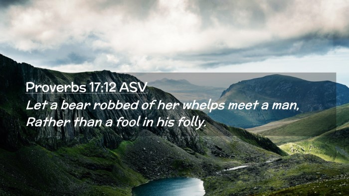 Picture 02 - Proverbs 17:12 ASV Desktop Wallpaper - Let a bear robbed of her whelps meet a man, - Desktop Bible Verse Wallpaper