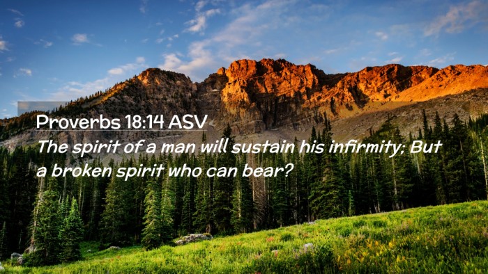 Picture 02 - Proverbs 18:14 ASV Desktop Wallpaper - The spirit of a man will sustain his infirmity; - Desktop Bible Verse Wallpaper