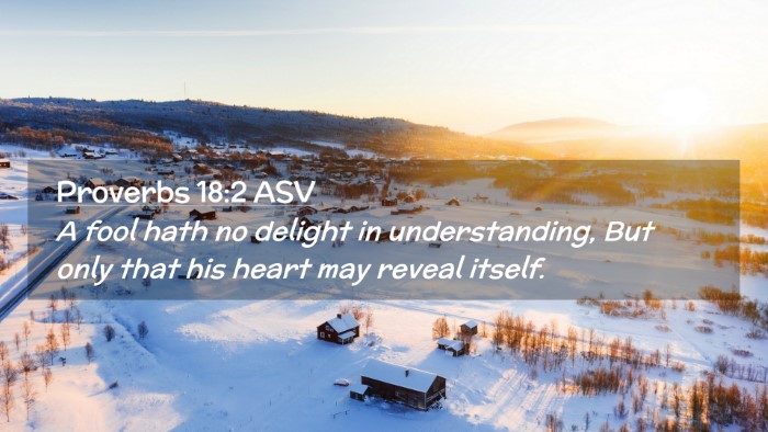 Picture 02 - Proverbs 18:2 ASV Desktop Wallpaper - A fool hath no delight in understanding, But only - Desktop Bible Verse Wallpaper