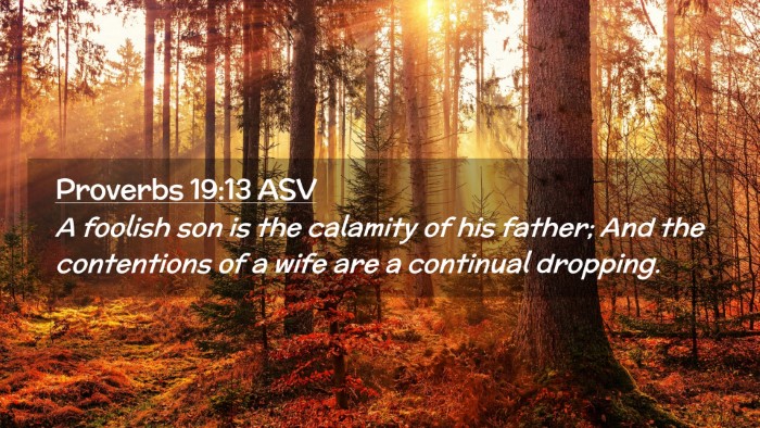 Picture 02 - Proverbs 19:13 ASV Desktop Wallpaper - A foolish son is the calamity of his father; And - Desktop Bible Verse Wallpaper