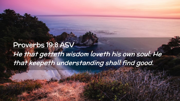 Picture 02 - Proverbs 19:8 ASV Desktop Wallpaper - He that getteth wisdom loveth his own soul: He - Desktop Bible Verse Wallpaper