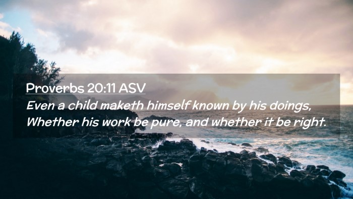 Picture 02 - Proverbs 20:11 ASV Desktop Wallpaper - Even a child maketh himself known by his doings, - Desktop Bible Verse Wallpaper