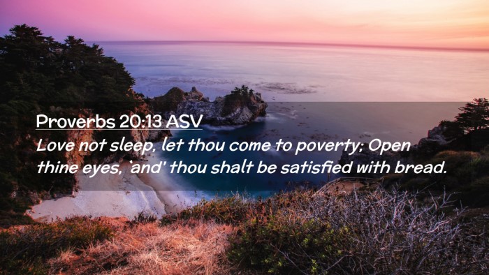 Picture 02 - Proverbs 20:13 ASV Desktop Wallpaper - Love not sleep, let thou come to poverty; Open - Desktop Bible Verse Wallpaper