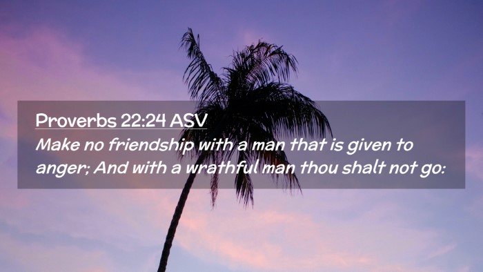 Picture 02 - Proverbs 22:24 ASV Desktop Wallpaper - Make no friendship with a man that is given to - Desktop Bible Verse Wallpaper