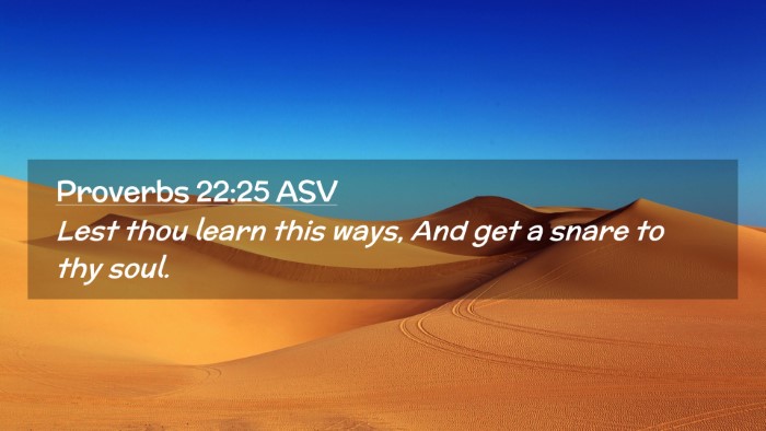 Picture 02 - Proverbs 22:25 ASV Desktop Wallpaper - Lest thou learn this ways, And get a snare to thy - Desktop Bible Verse Wallpaper